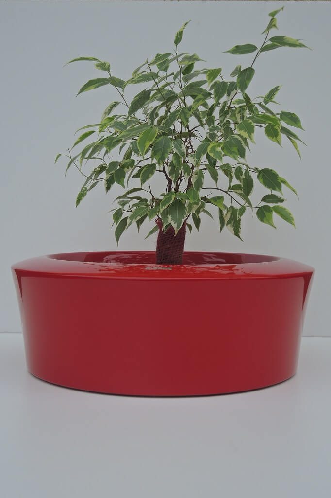 planter for table - red Faro